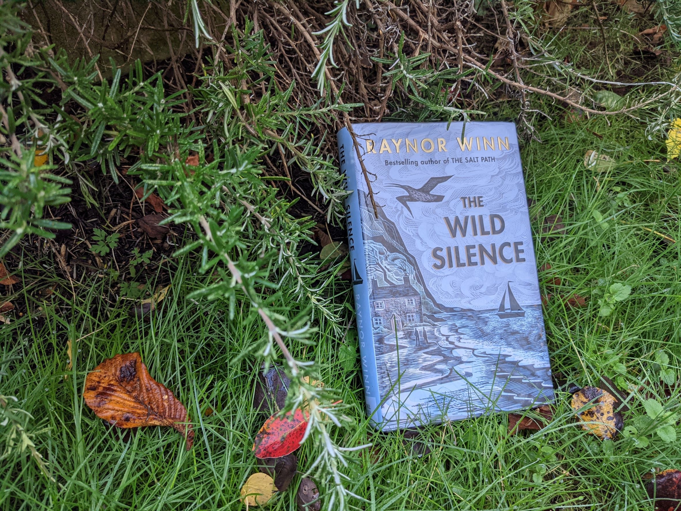 A review of The Wild Silence by Raynor Winn - The Grown-Up Gap Year